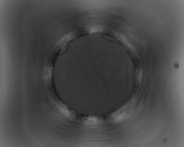 X0000102030475200808081816