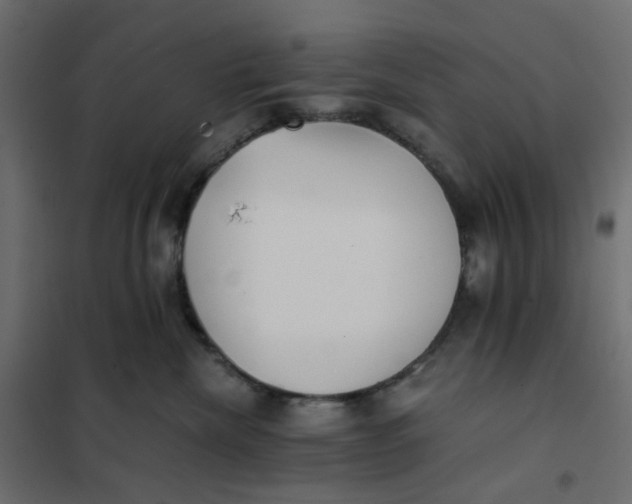 X0000102030476200808081816