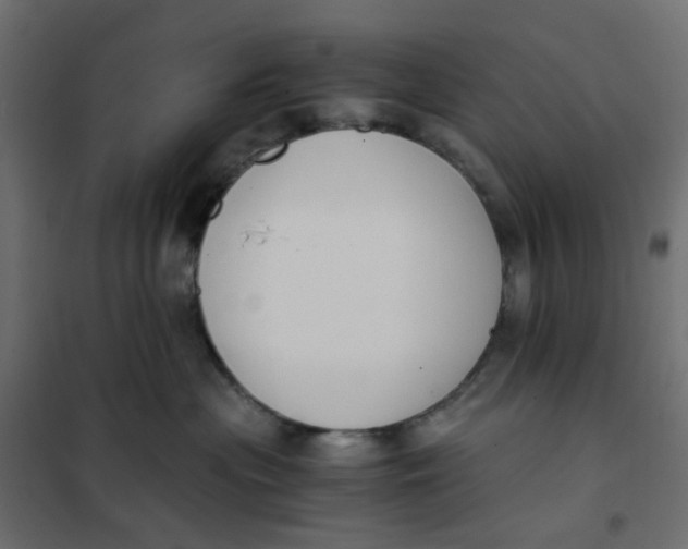 X0000102030477200808081816