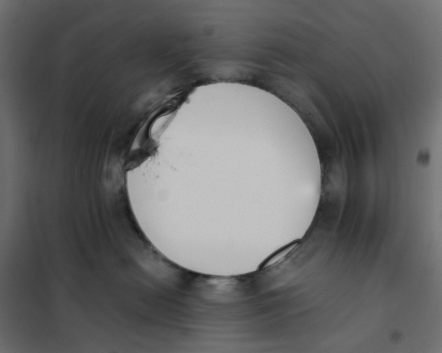 X0000102030478200808081816