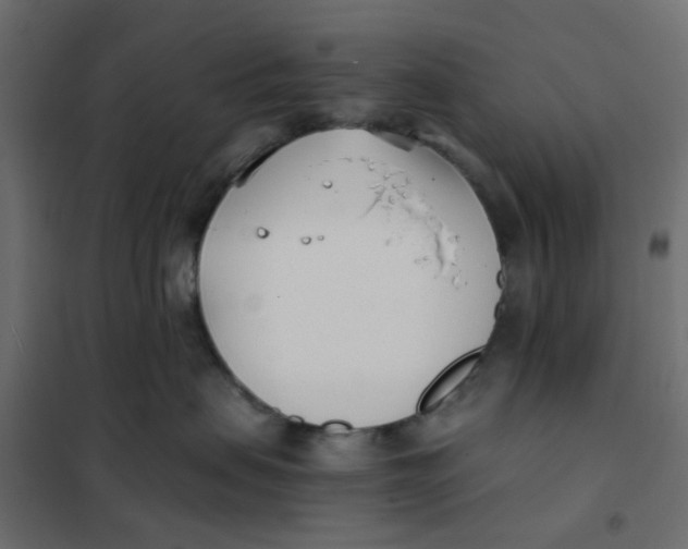 X0000102030479200808081816