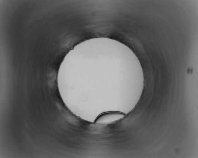 X0000102030480200808081816