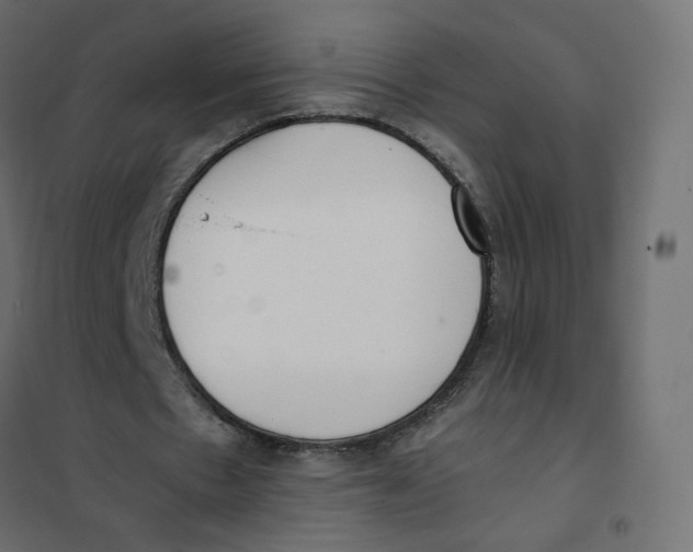 X0000102030481200808081816