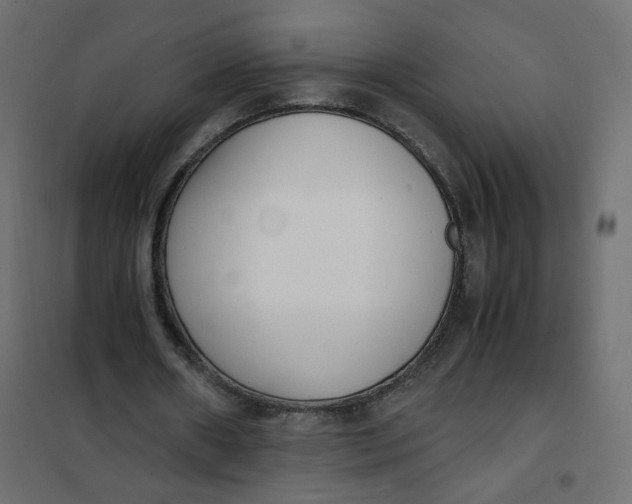 X0000102030482200808081816