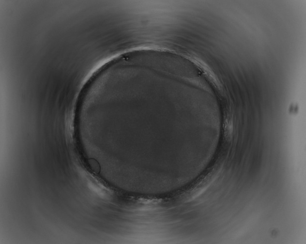 X0000102030484200808081815