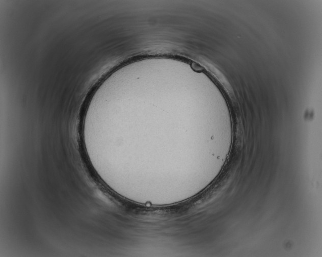 X0000102030485200808081815