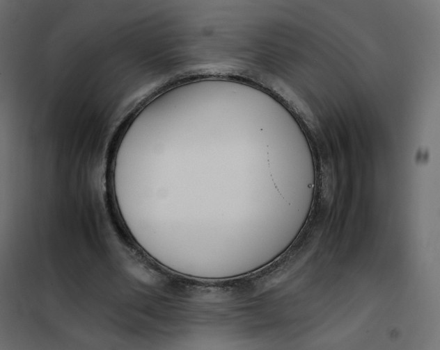 X0000102030486200808081815