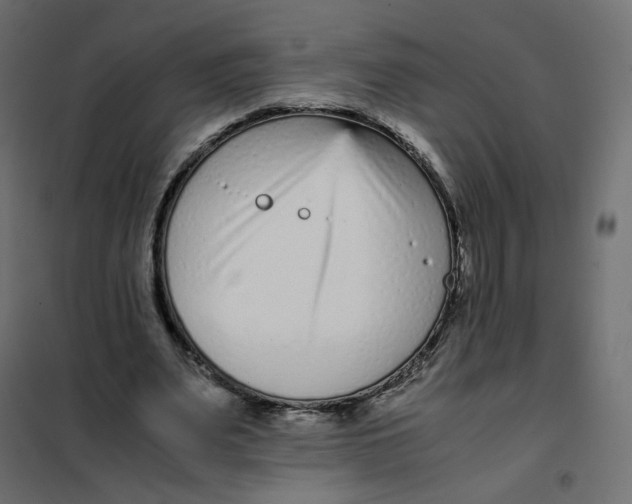 X0000102030487200808081815