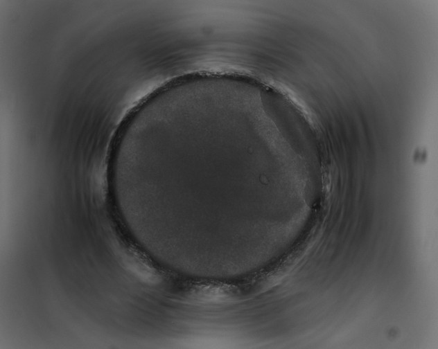 X0000102030488200808081815