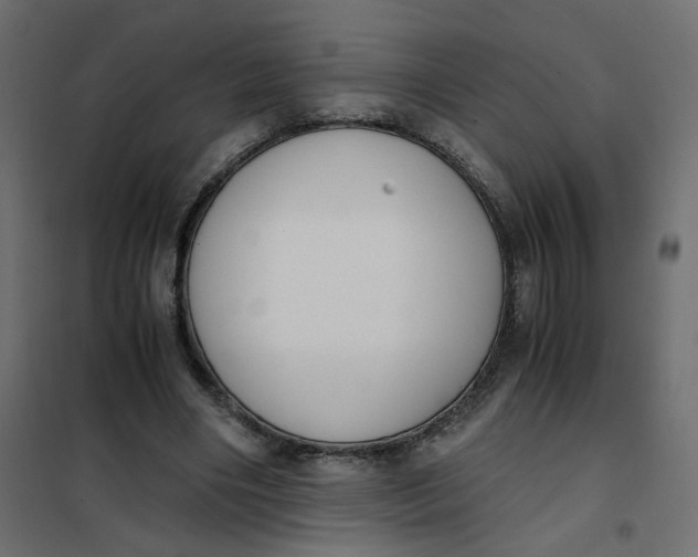 X0000102030490200808081815