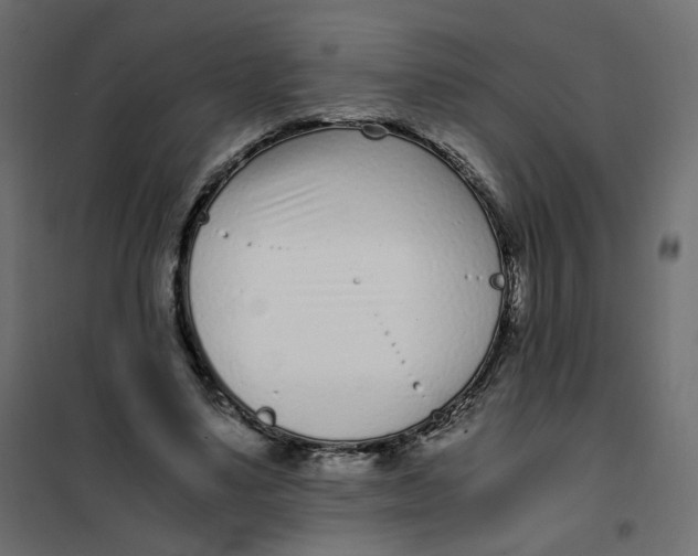 X0000102030491200808081815