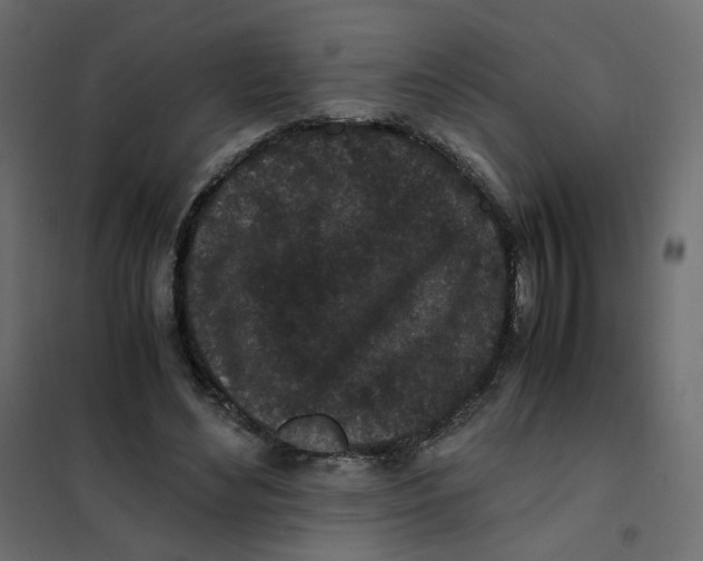 X0000102030492200808081815