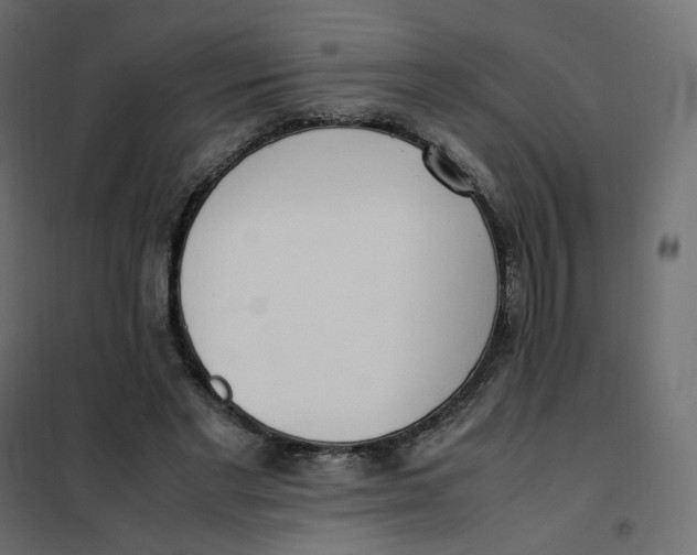 X0000102030493200808081815