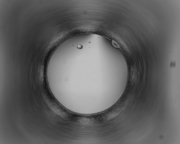 X0000102030494200808081815