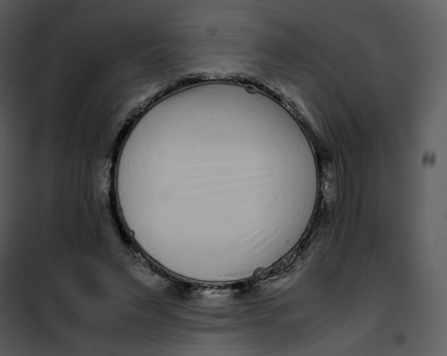 X0000102030495200808081815