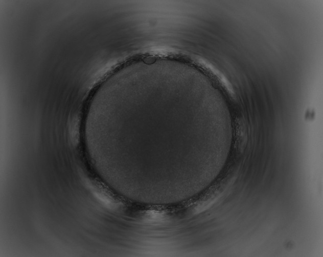 X0000102030496200808081815