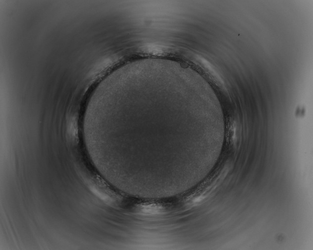 X0000102030500200808081815