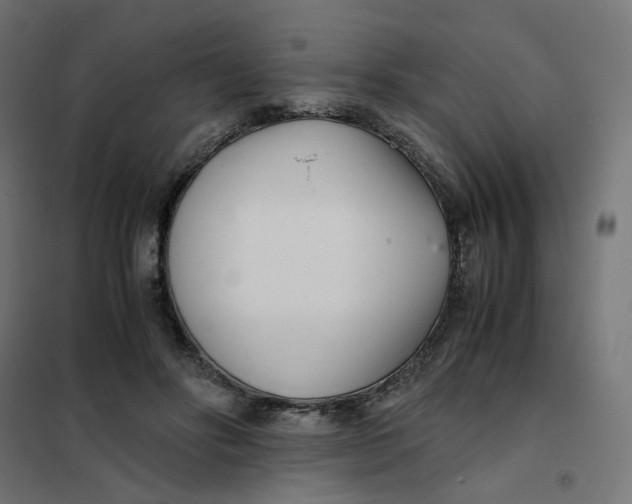 X0000102030502200808081815