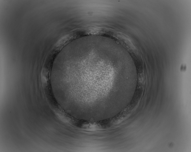 X0000102030503200808081815