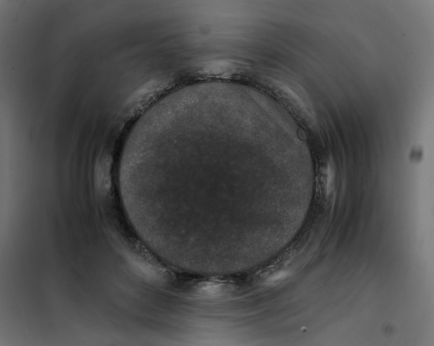 X0000102030504200808081815