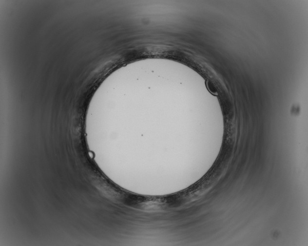 X0000102030505200808081815