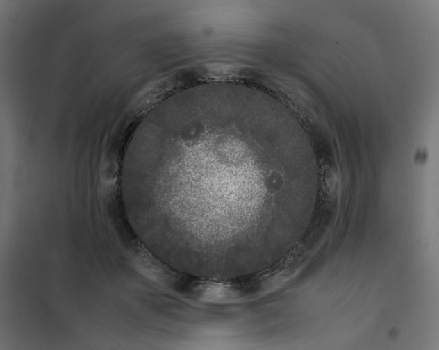 X0000102030507200808081815