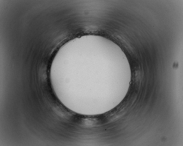 X0000102030508200808081815