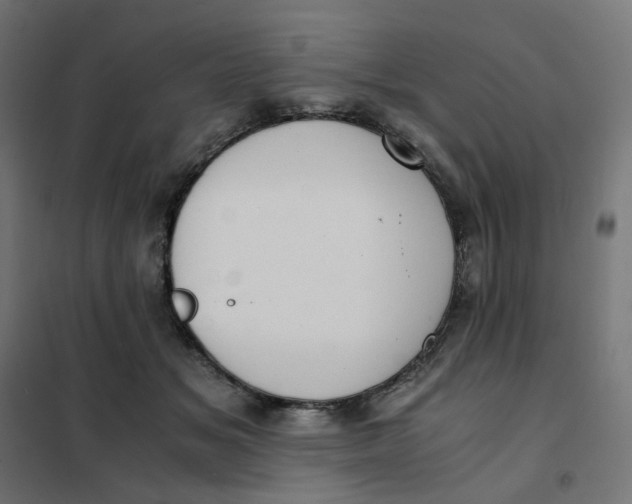 X0000102030509200808081815