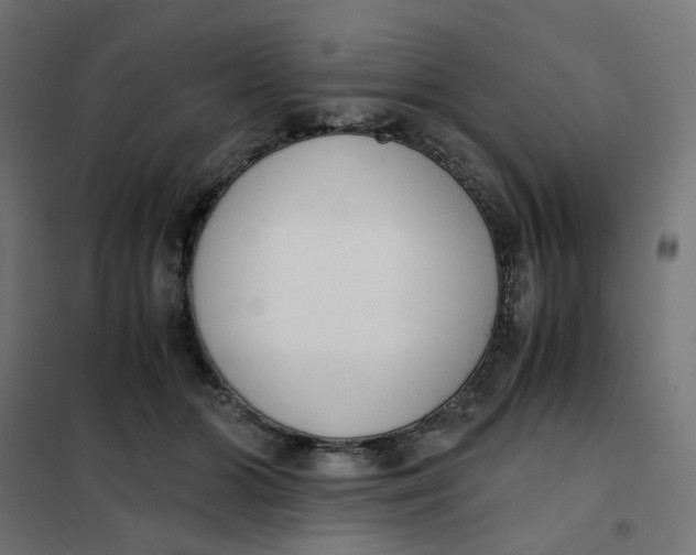 X0000102030510200808081815