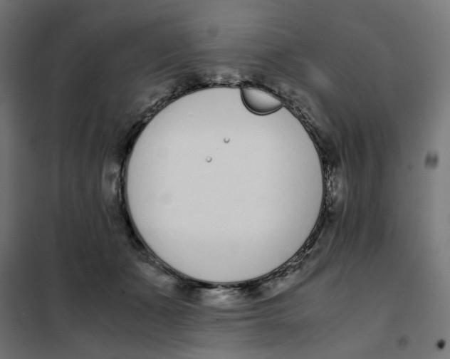 X0000102030511200808081815