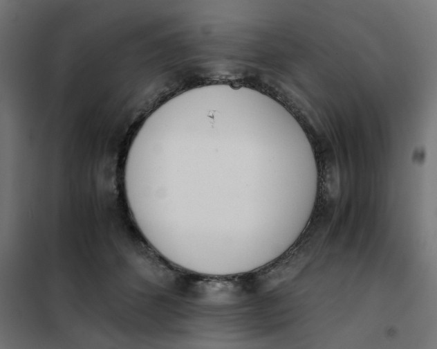 X0000102030512200808081815