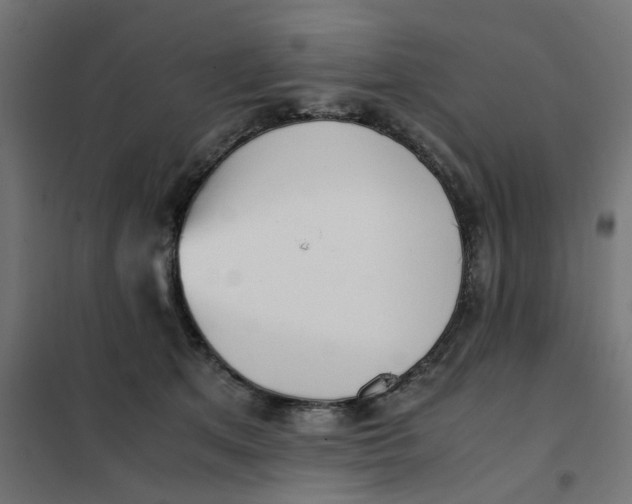 X0000102030513200808081815