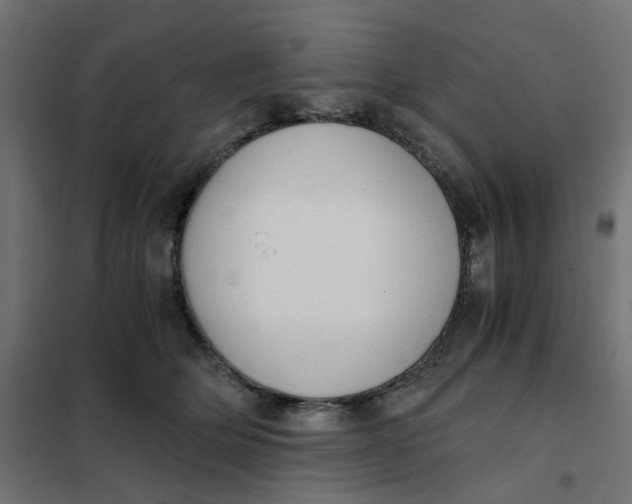 X0000102030514200808081815