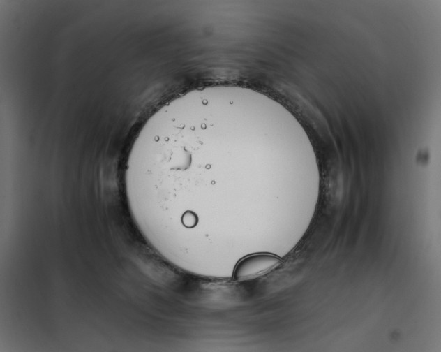 X0000102030516200808081815