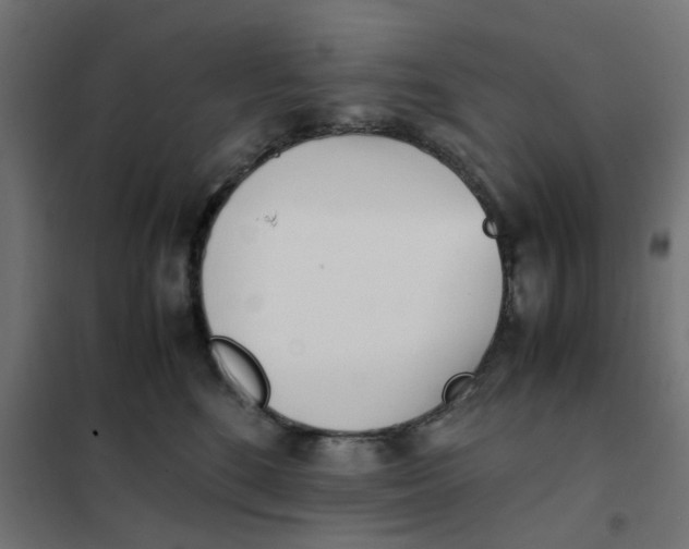 X0000102030520200808081815