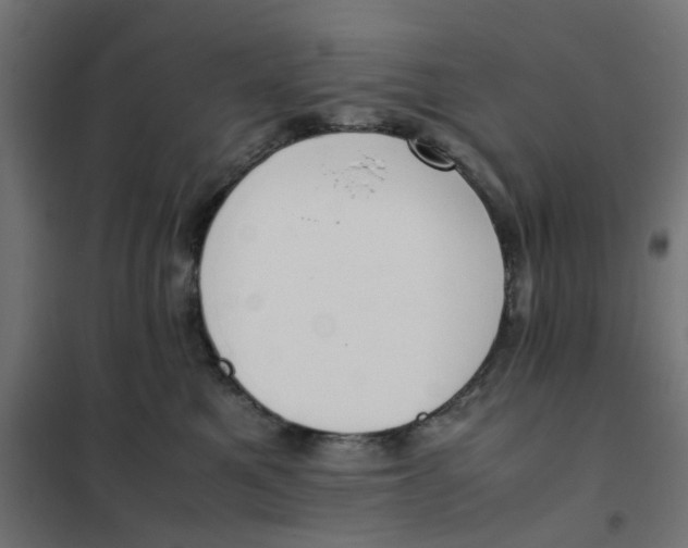 X0000102030521200808081815