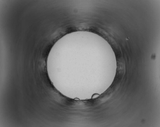 X0000102030523200808081815