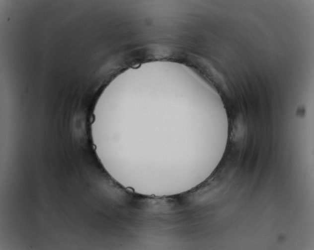 X0000102030524200808081815