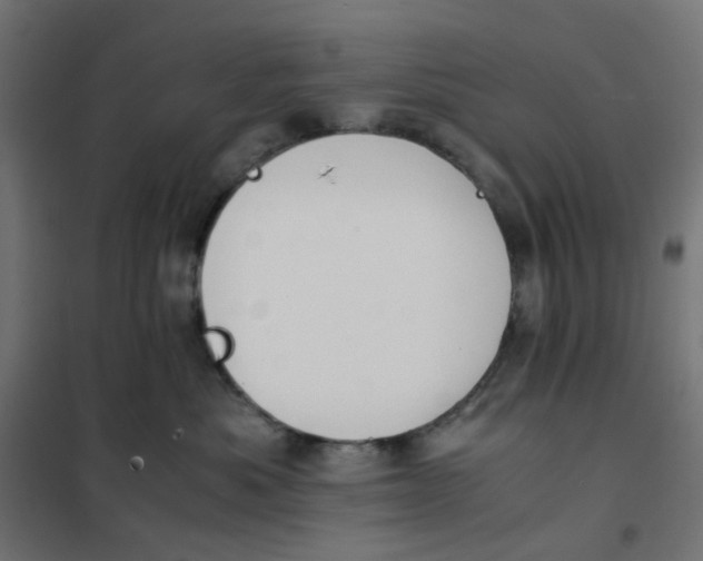 X0000102030525200808081815