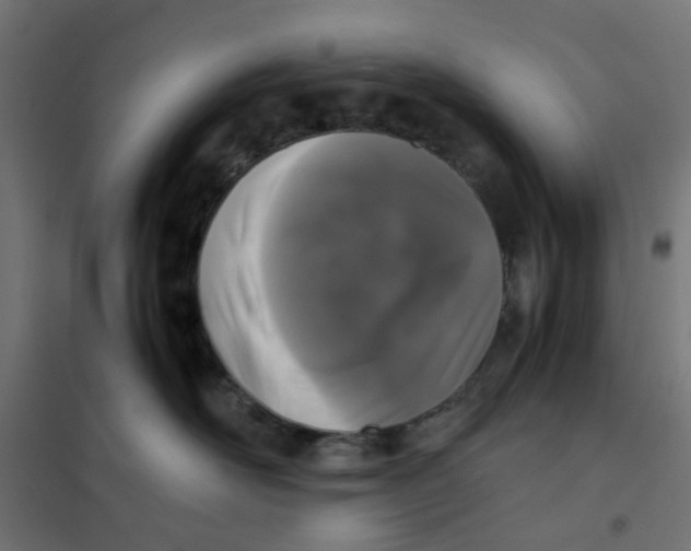 X0000102030526200808081815