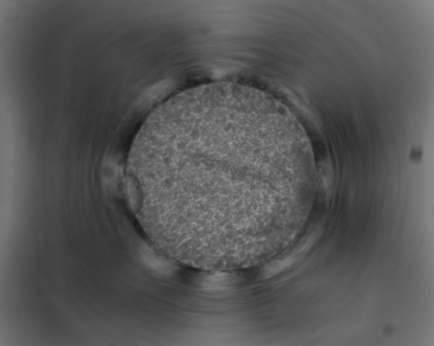 X0000102030527200808081815