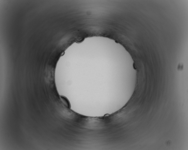 X0000102030528200808081815