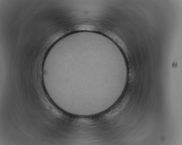 X0000102030529200808081814