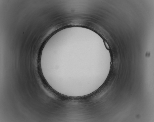 X0000102030530200808081814