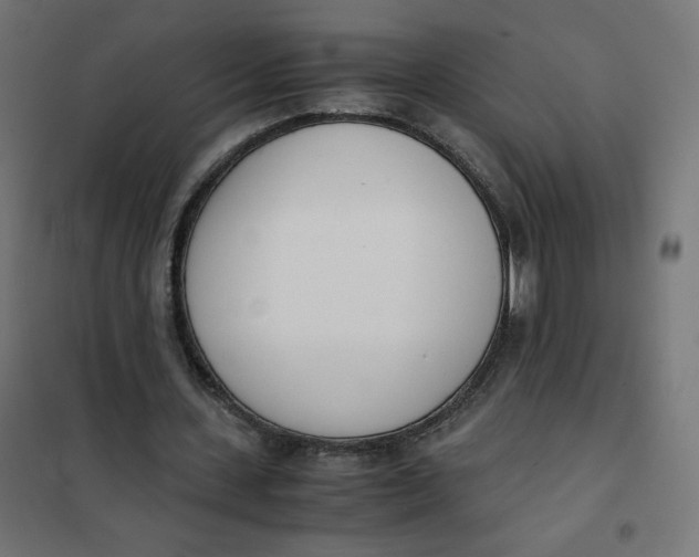 X0000102030531200808081814