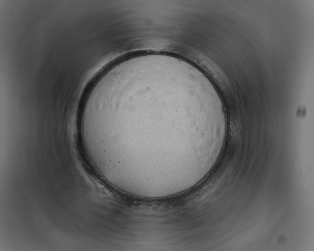 X0000102030532200808081814