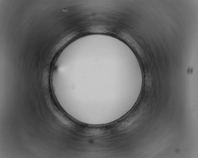 X0000102030533200808081814