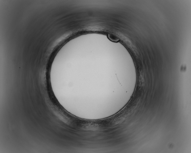 X0000102030535200808081814