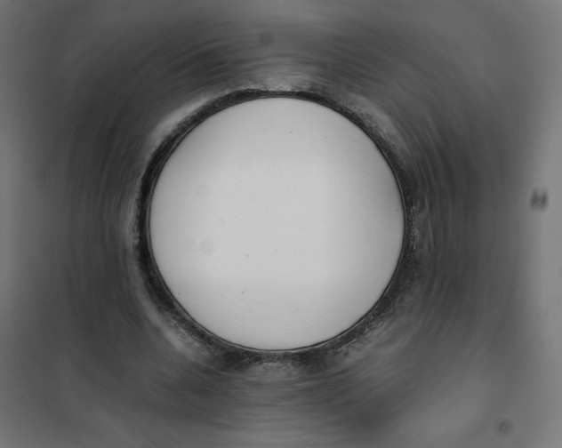 X0000102030536200808081814