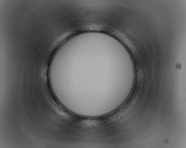 X0000102030537200808081814